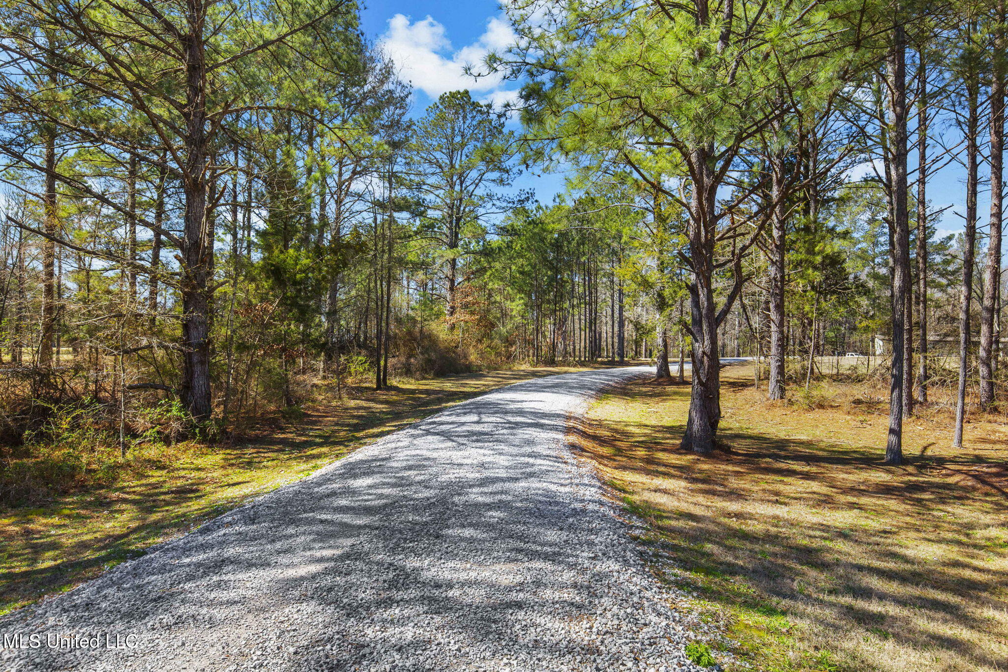 2162 Leesburg Road Morton, MS 39117 - Photo 72 of 88 77-web-or-mls-2162 Leesburg-88