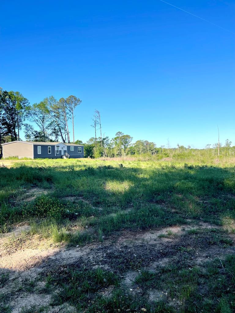 142 Grange Road Silver Creek, MS 39663 - Photo 1 of 28 Main View