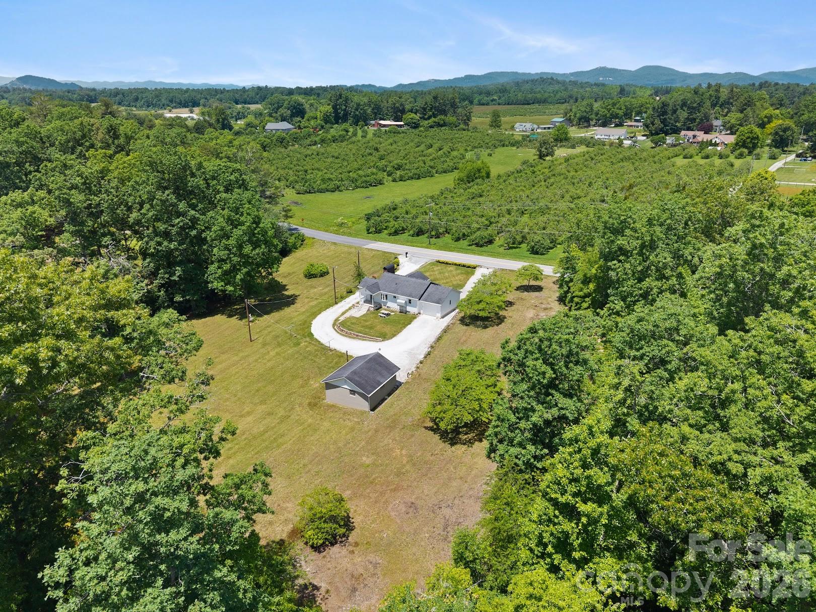 1230 Dana Road Hendersonville, NC 28792 - Photo 3 of 22