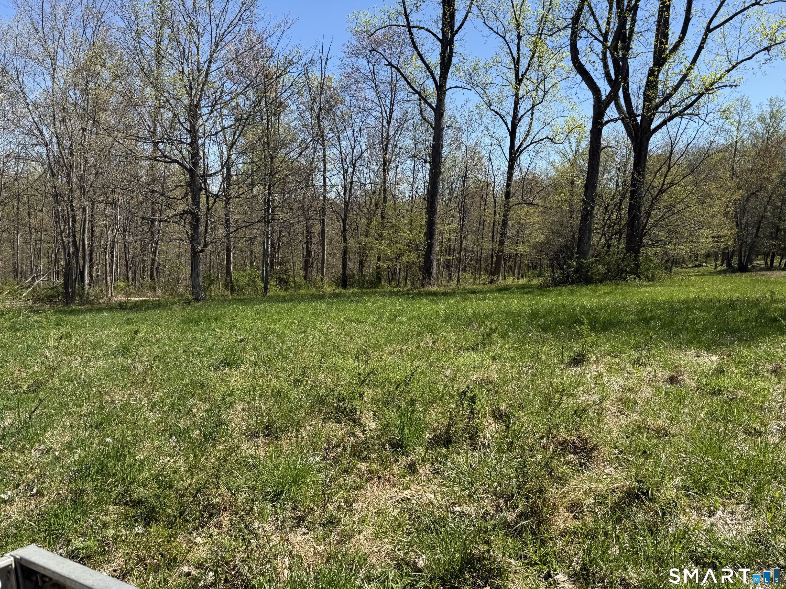 163 Clapboard Ridge Road Danbury, CT 06811 - Photo 12 of 17 a big yard with lots of green space and trees