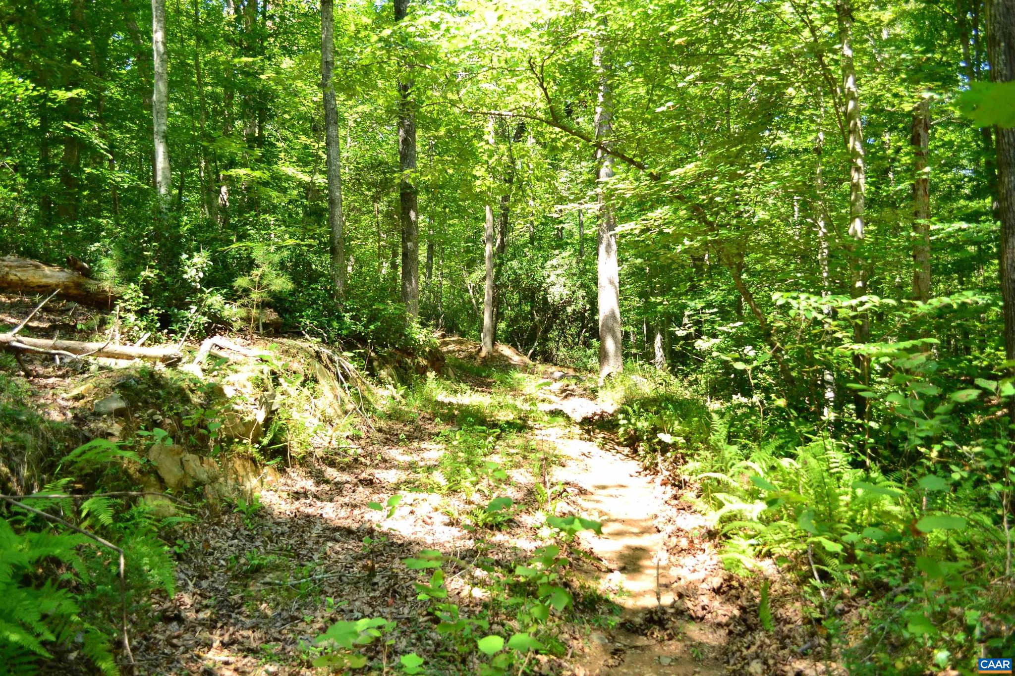 Tbd Damon Road, Unit 2 Schuyler, VA 22969 - Photo 9 of 14 Gallery Image 9
