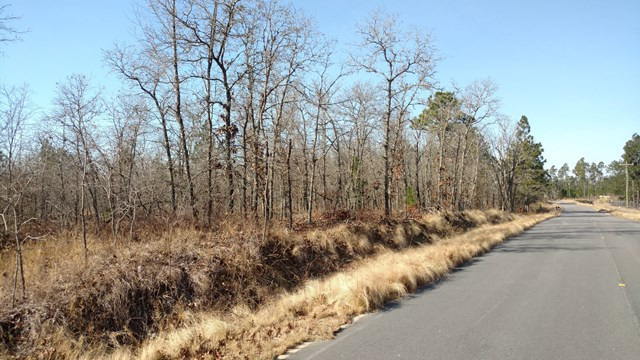 Tract D Centerwood Road Windsor, SC 29856 - Photo 5 of 6