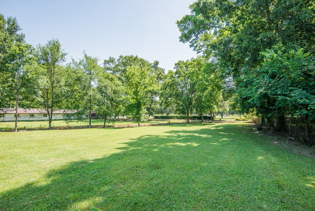 5150 Red Clay Road Cohutta, GA 30710 - Photo 34 of 47 Gallery Image 34