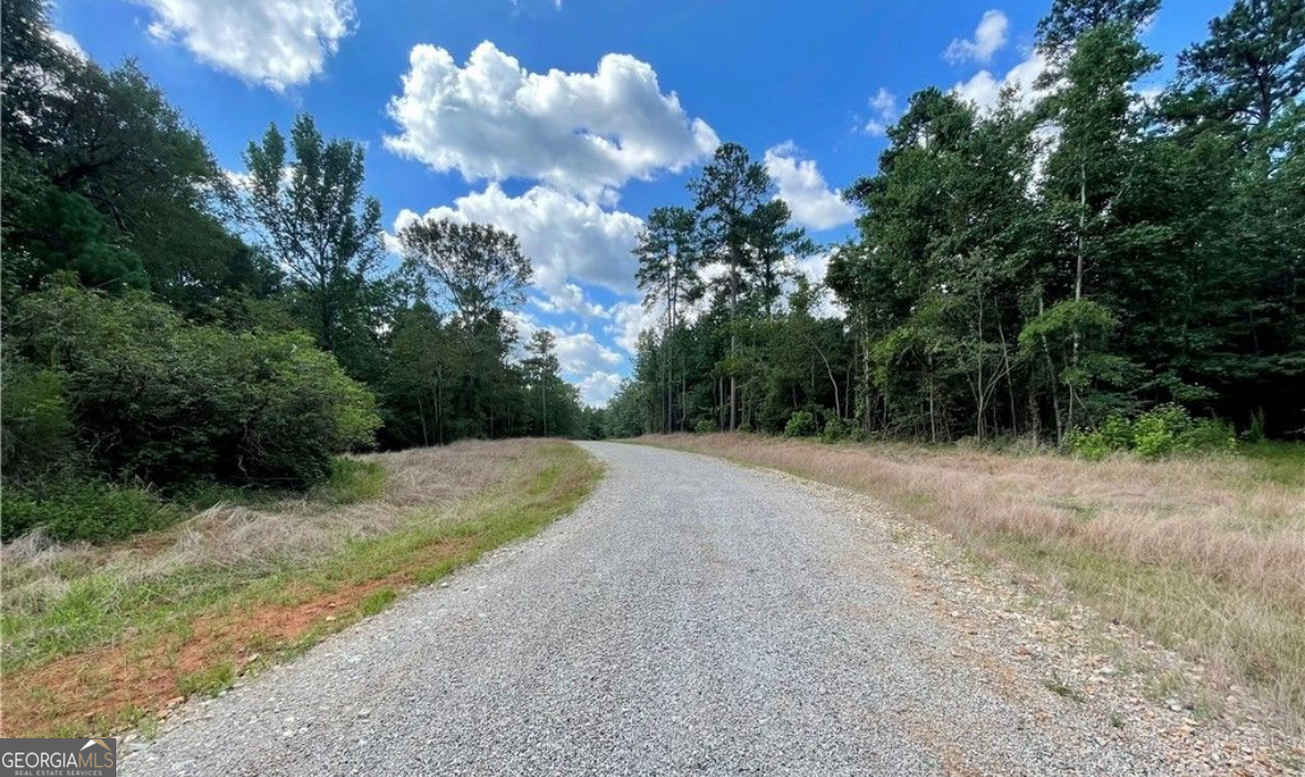690 Harmony Gates Drive Commerce, GA 30530 - Photo 3 of 7 a view of a yard with plants and trees