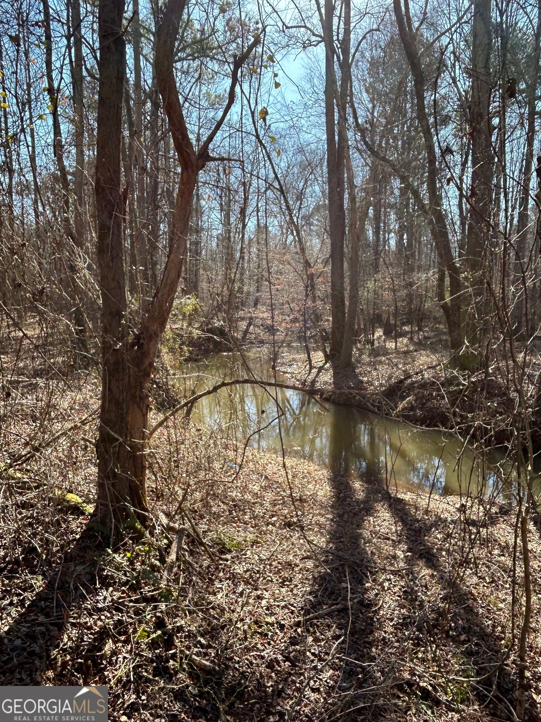 690 Harmony Gates Drive Commerce, GA 30530 - Photo 5 of 7 a view of lake