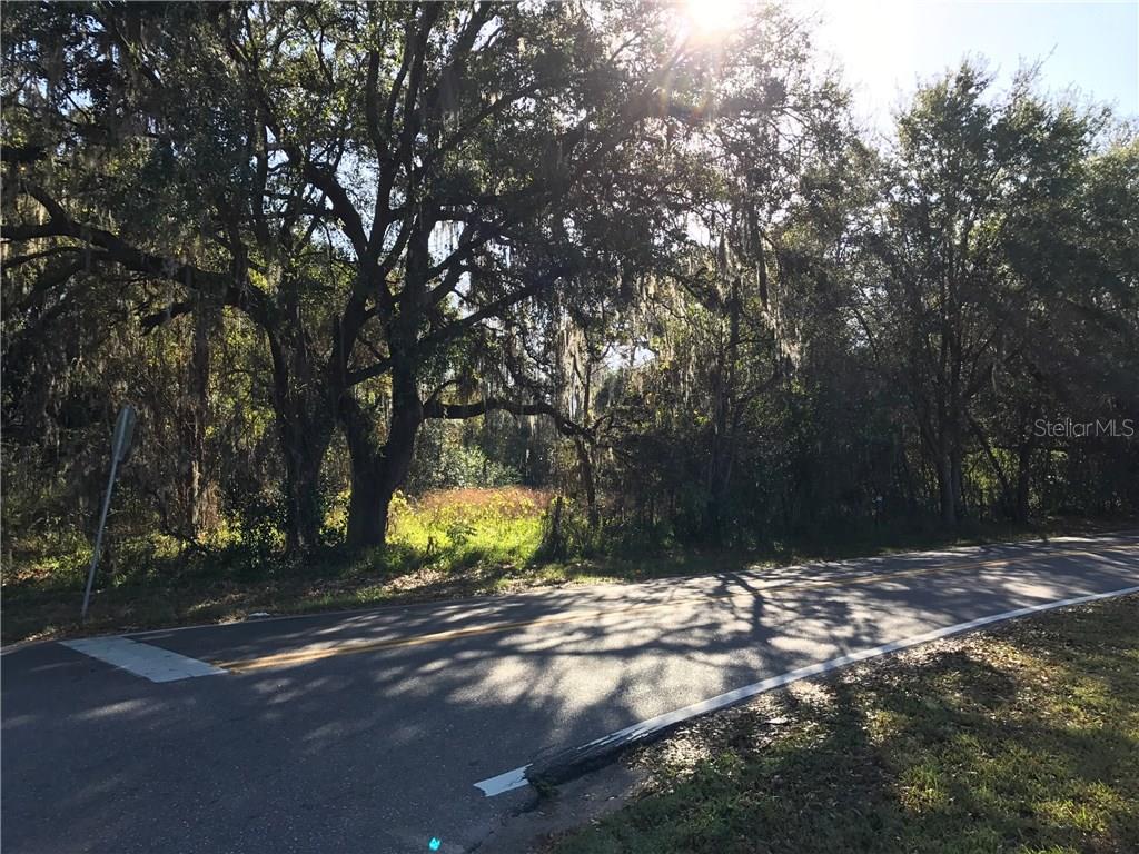 Crenshaw Lake Road Lutz, FL 33548 - Photo 1 of 1 Gallery Image 1
