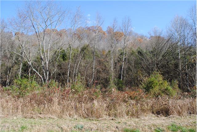 0 Leath Chapel Road Bethpage, TN 37022 - Photo 1 of 1 0 Leaths Chapel Road - Pirvate and Quiet Street. Great wooded tract convenient to Westmoreland, Lebanon, and Gallatin. City water at Street.
