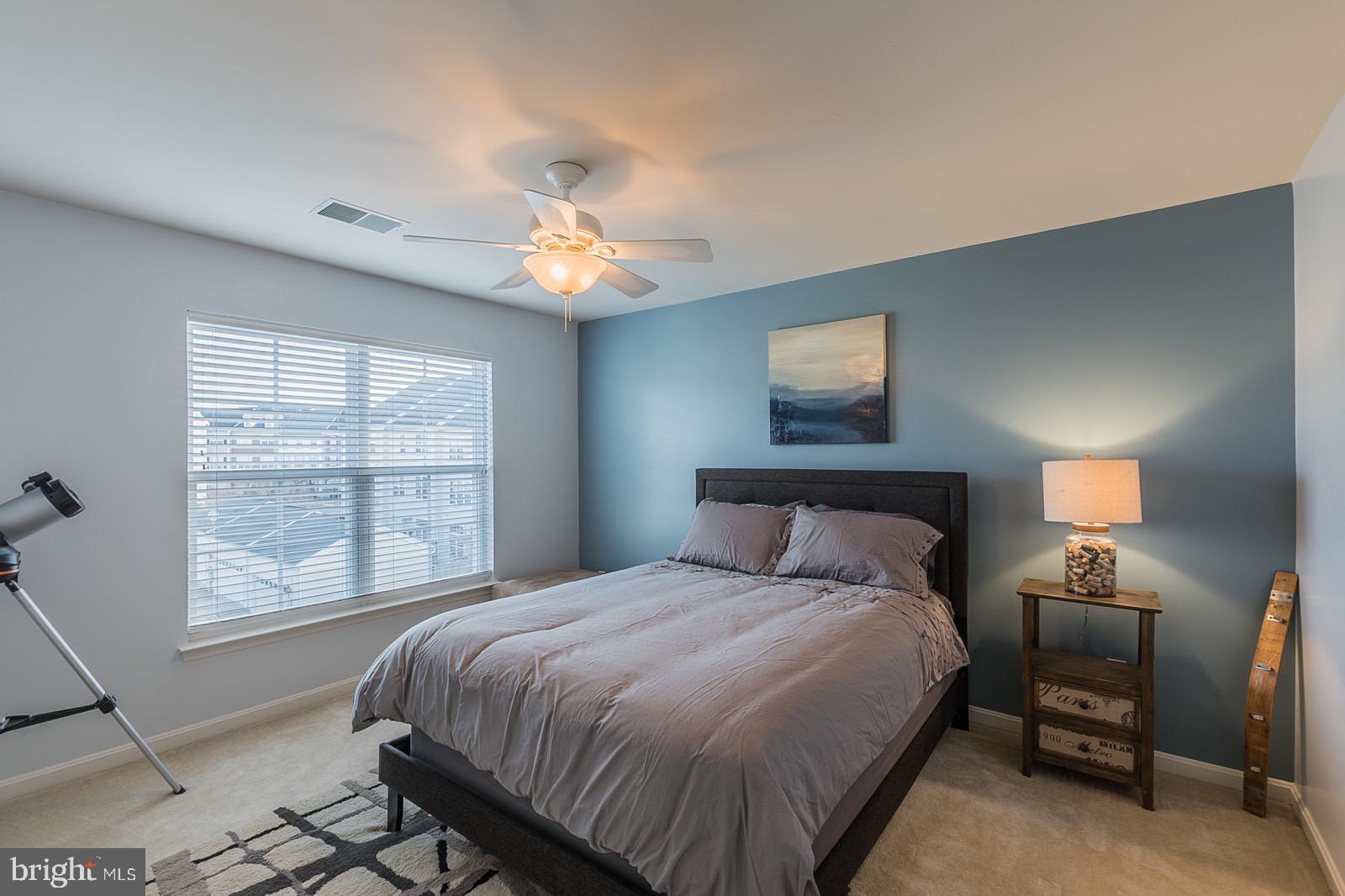 9010 Ribbon Falls Loop Bristow, VA 20136 - Photo 34 of 44 Bedroom 2