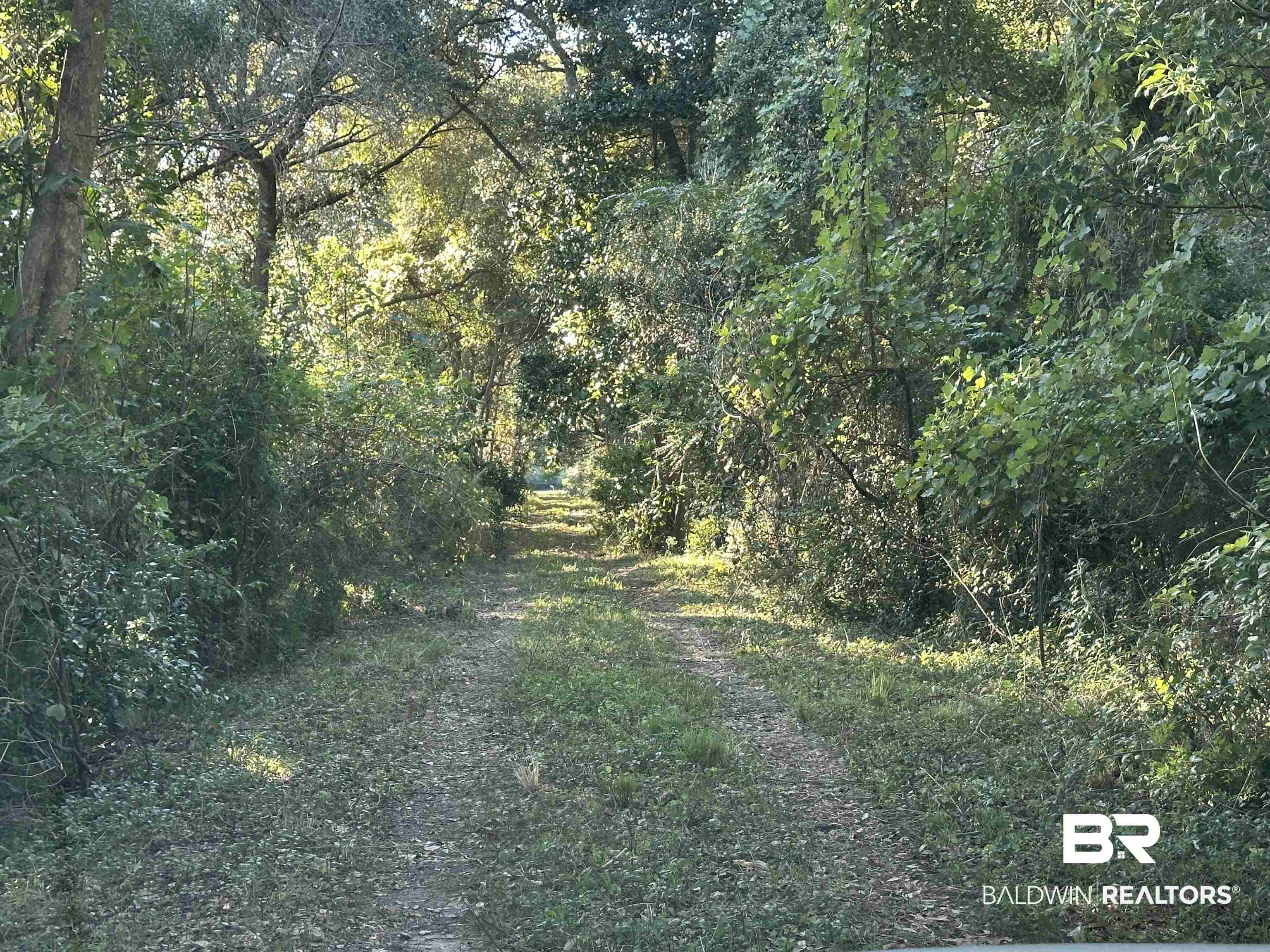 0 Benton Road Foley, AL 36535 - Photo 5 of 7