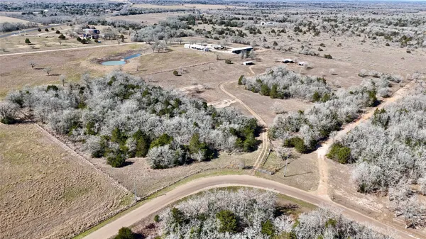 a view of a dry yard with lots of trees