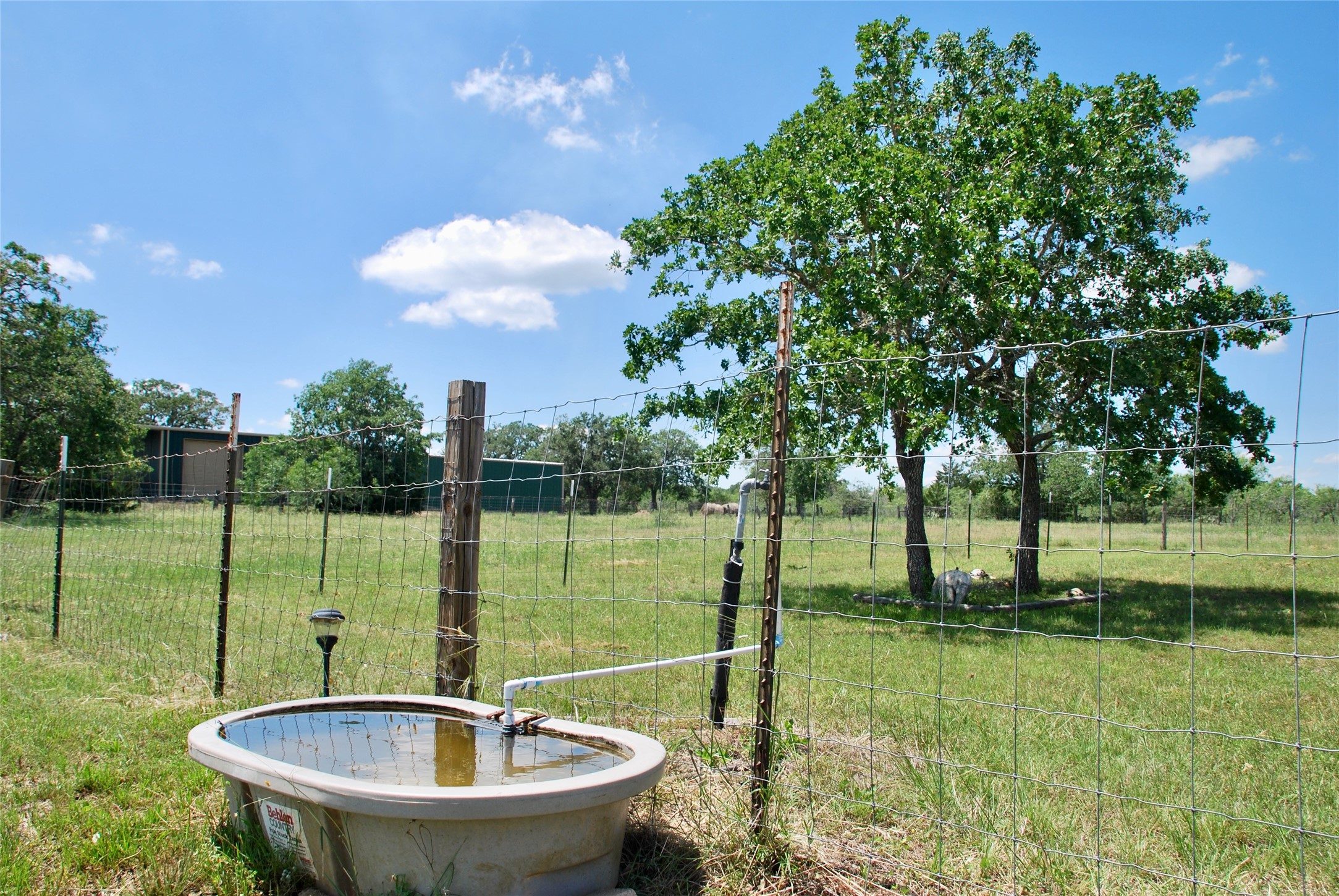 4850 Burke Road Flatonia, TX 78941 - Photo 15 of 46