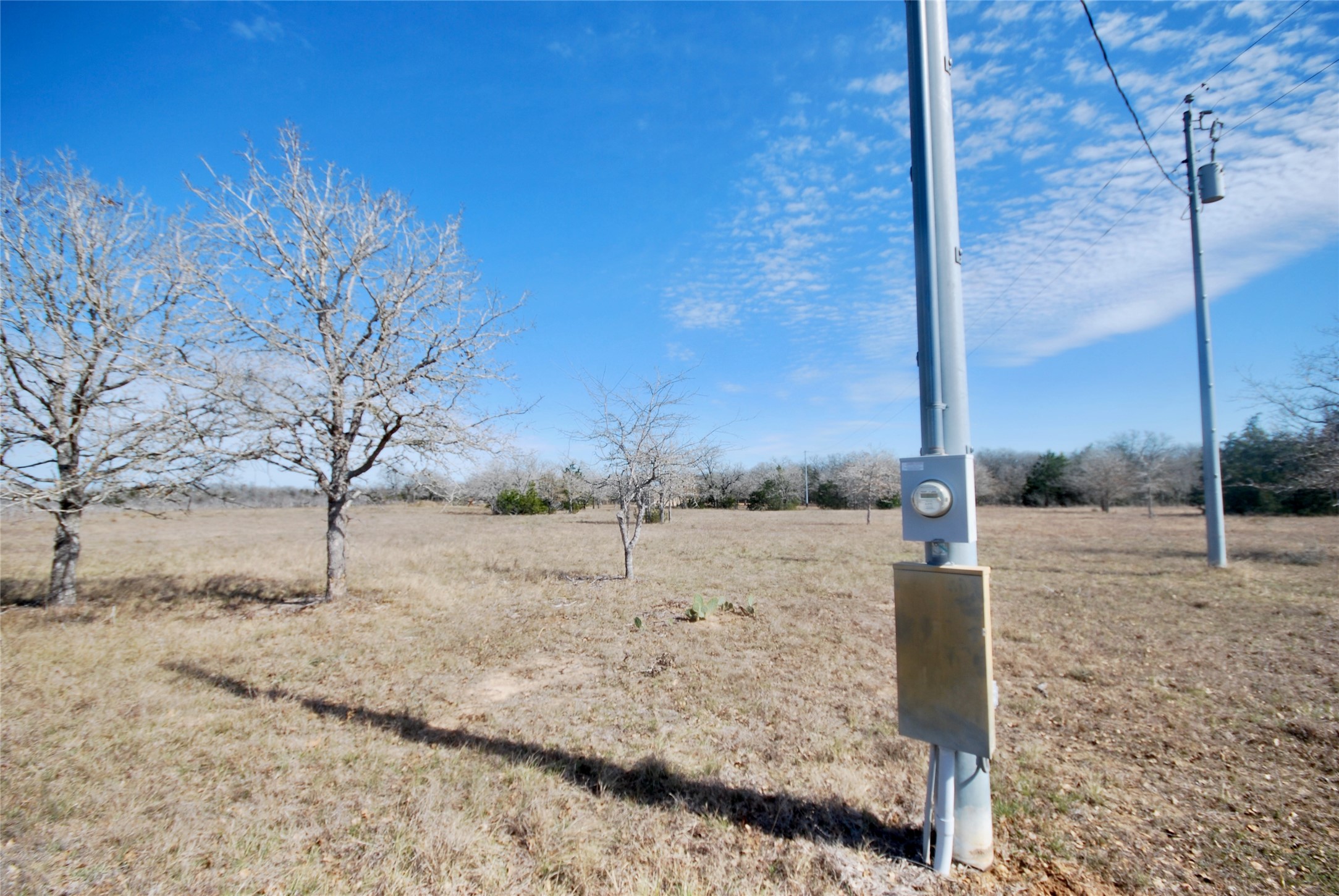 4850 Burke Road Flatonia, TX 78941 - Photo 26 of 45 a view of a dry yard with a tree