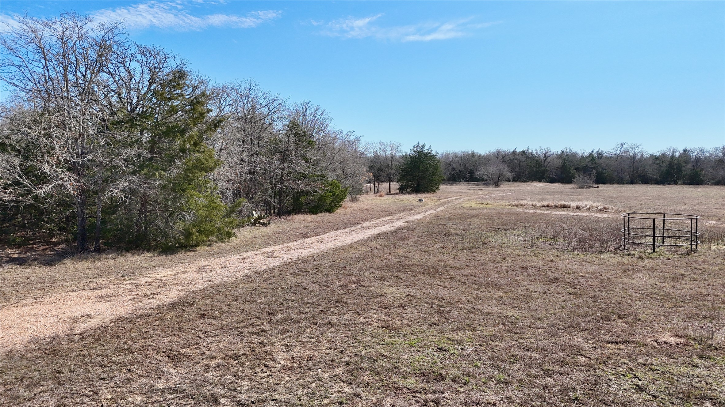 4850 Burke Road Flatonia, TX 78941 - Photo 28 of 45 a view of dirt yard with large trees