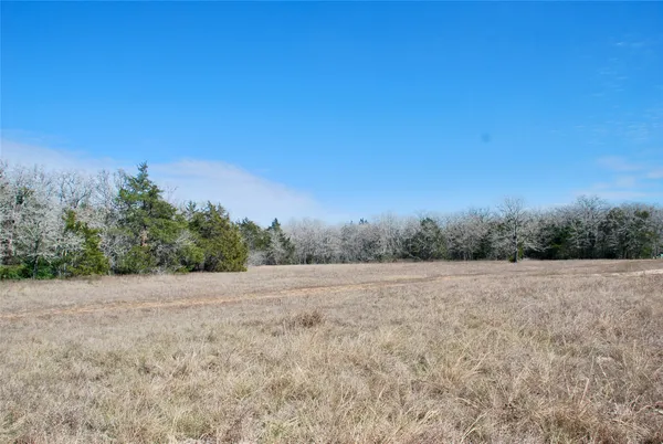 a view of a field with trees in background