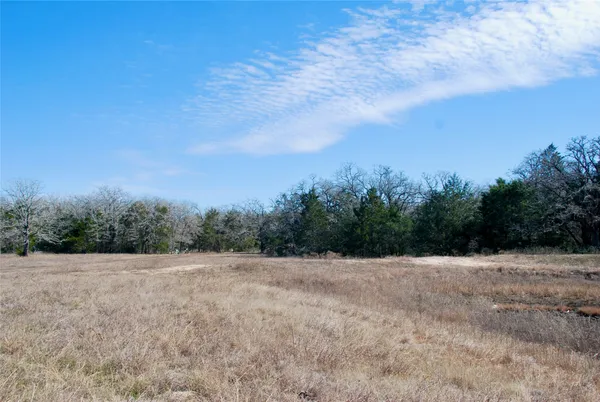 a view of outdoor space and trees