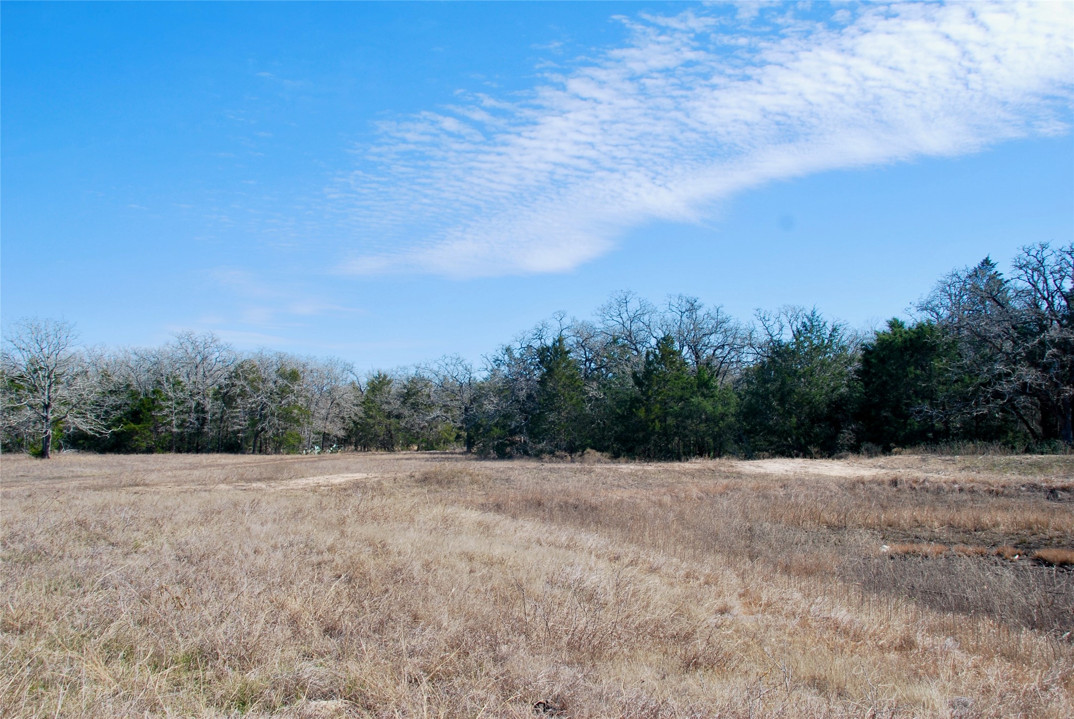 4850 Burke Road Flatonia, TX 78941 - Photo 31 of 45 a view of a field with trees in background