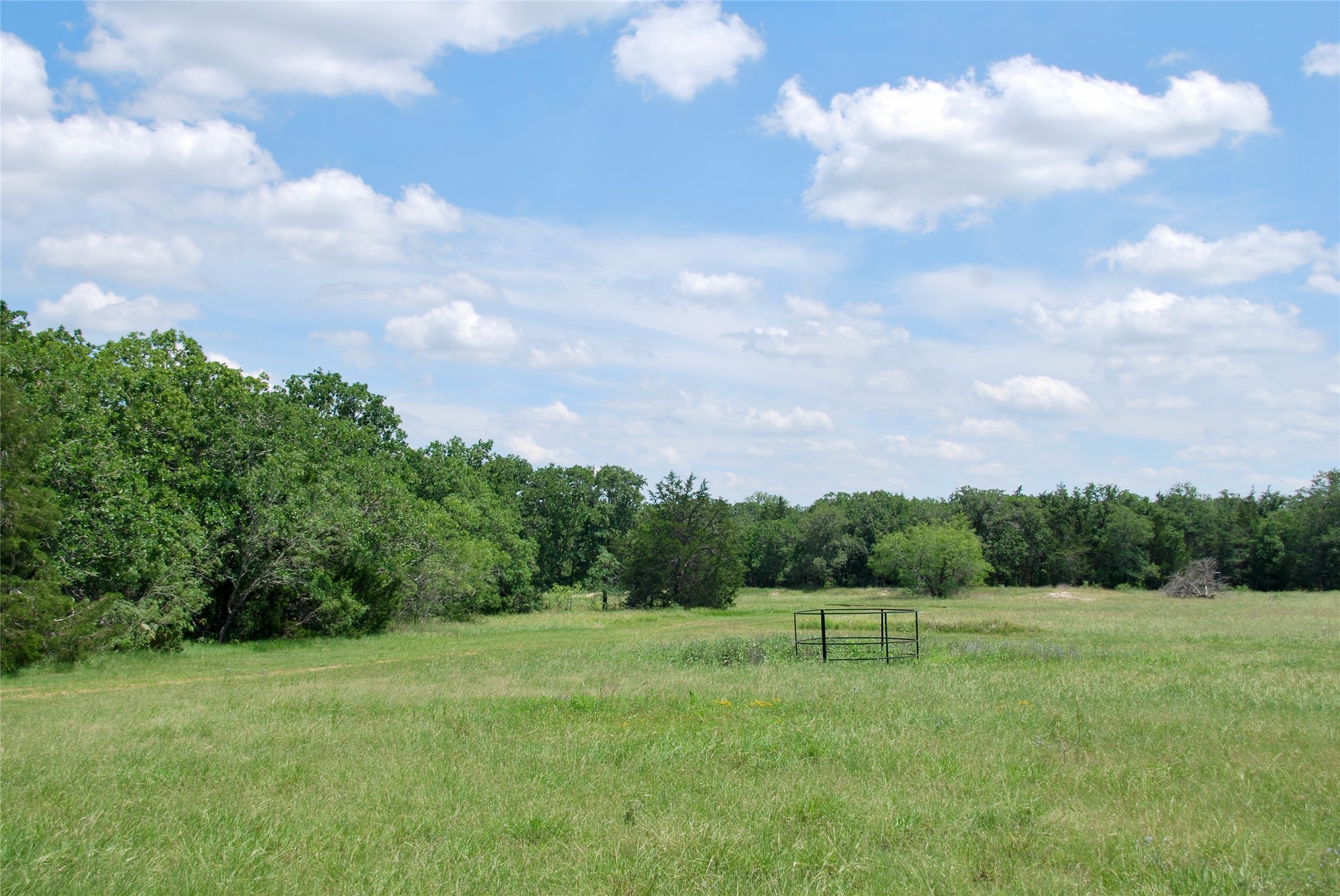 4850 Burke Road Flatonia, TX 78941 - Photo 32 of 46