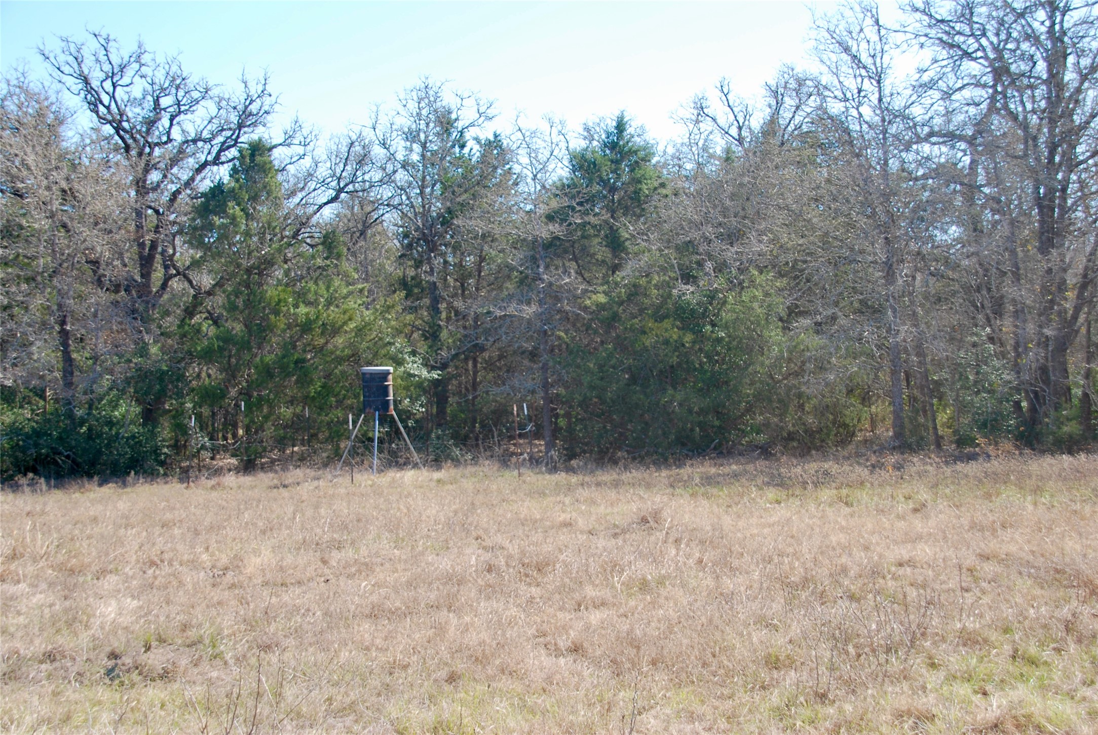 4850 Burke Road Flatonia, TX 78941 - Photo 32 of 45 a view of outdoor space and trees