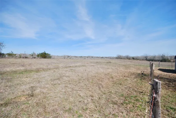 a view of a dry yard with trees