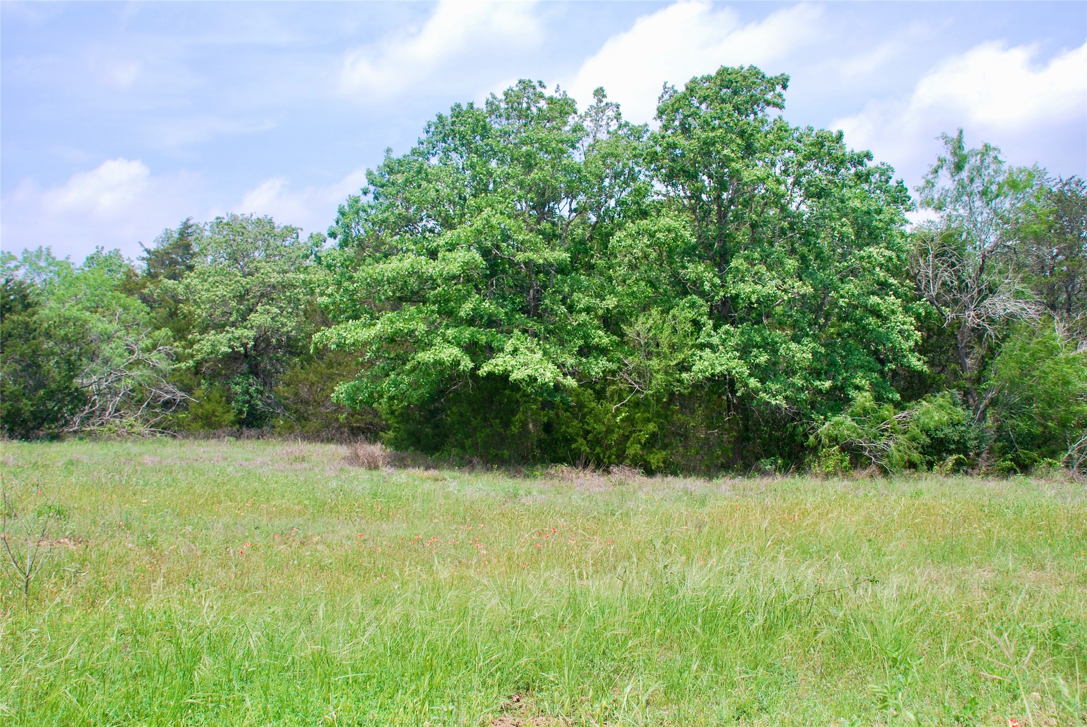 4850 Burke Road Flatonia, TX 78941 - Photo 34 of 46
