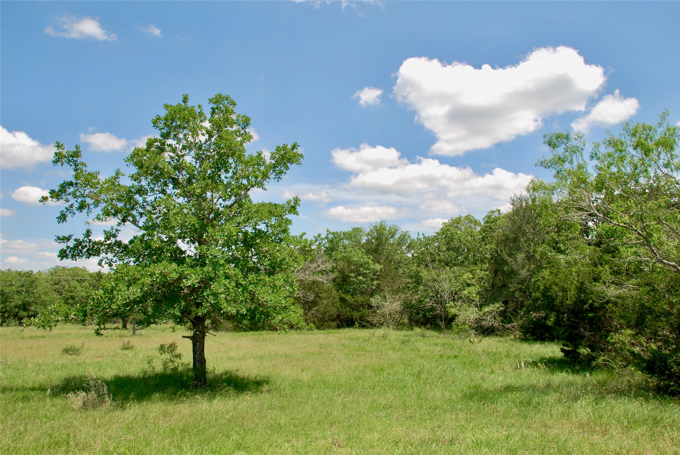 4850 Burke Road Flatonia, TX 78941 - Photo 35 of 46