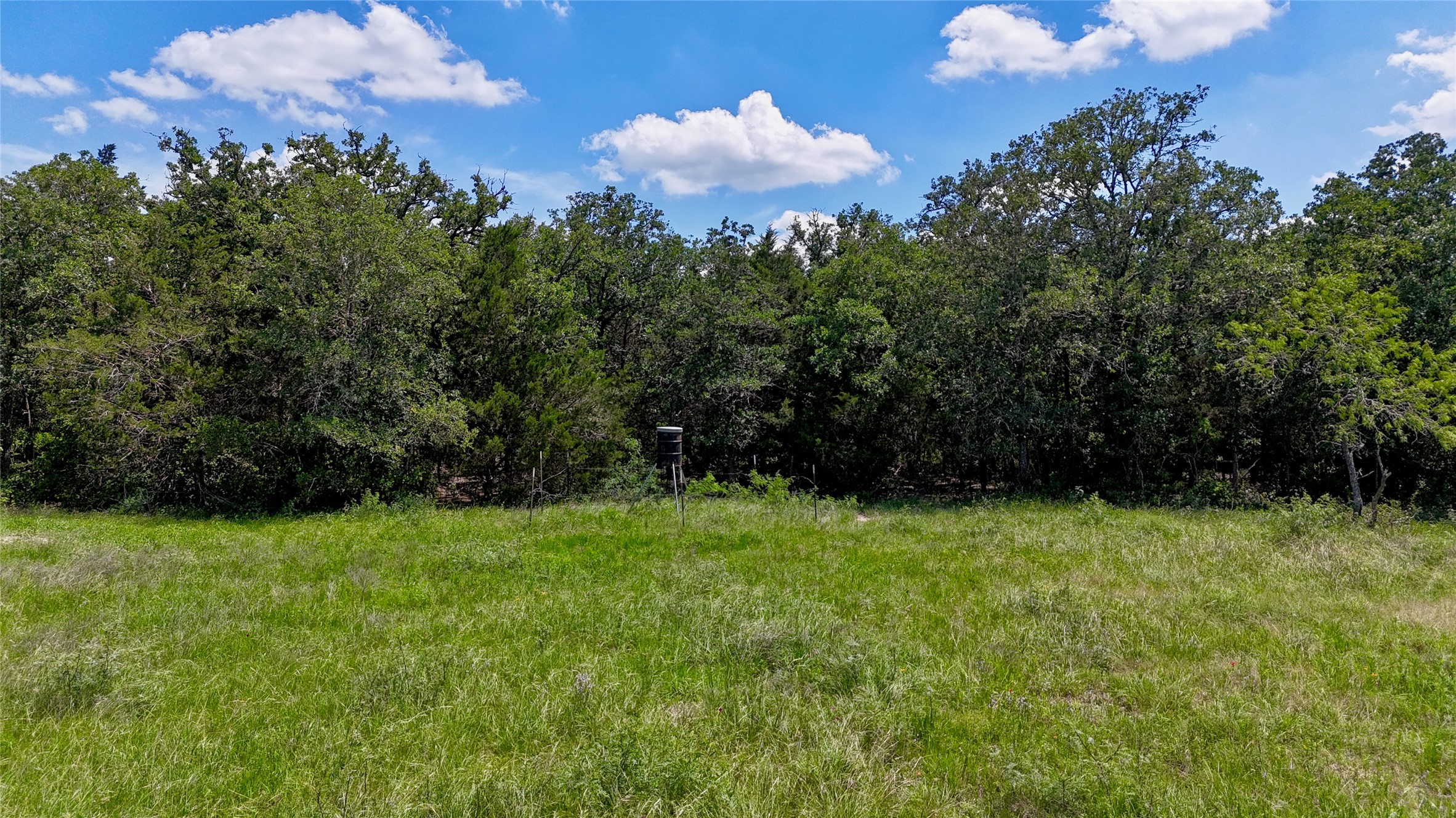 4850 Burke Road Flatonia, TX 78941 - Photo 36 of 46