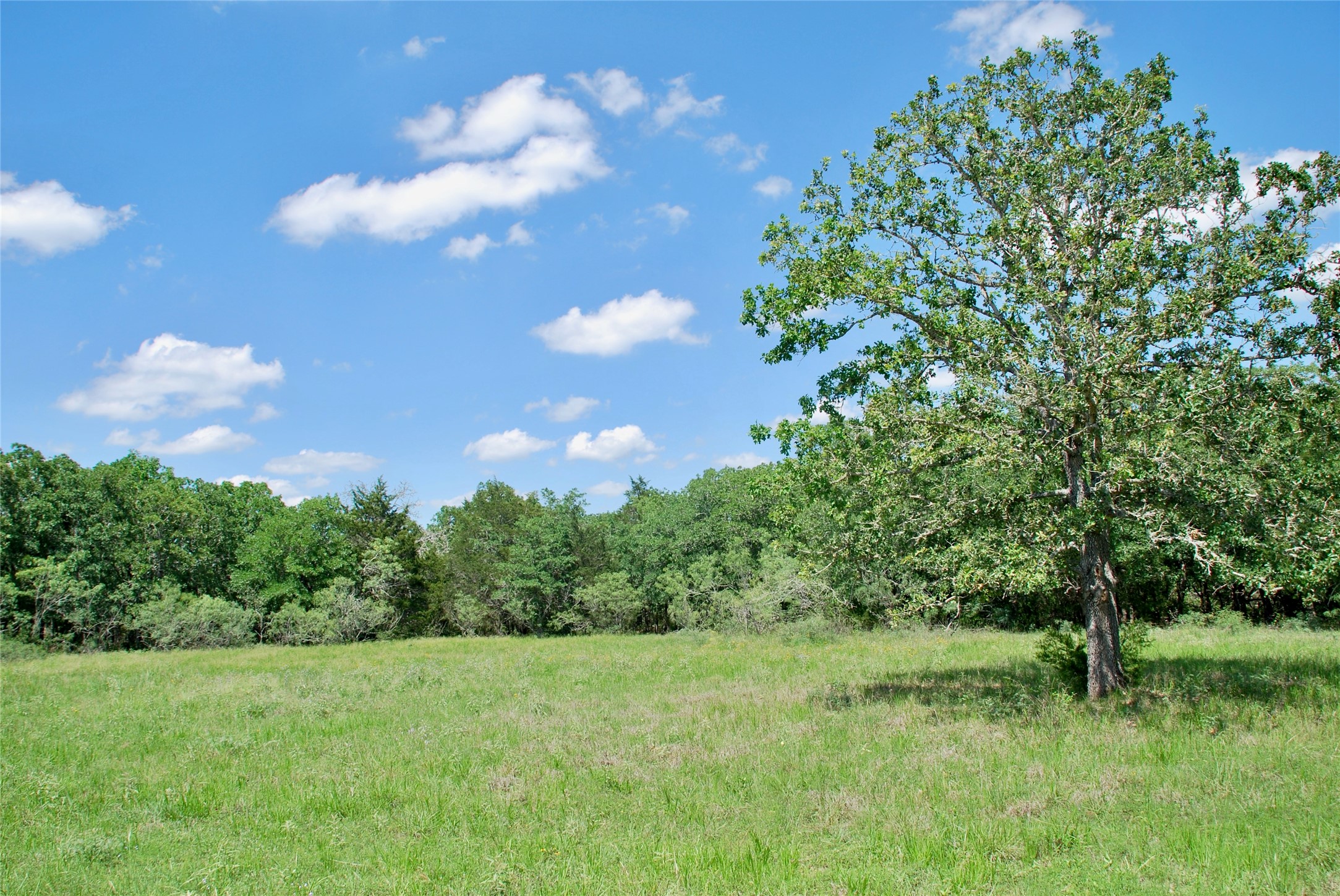 4850 Burke Road Flatonia, TX 78941 - Photo 40 of 46