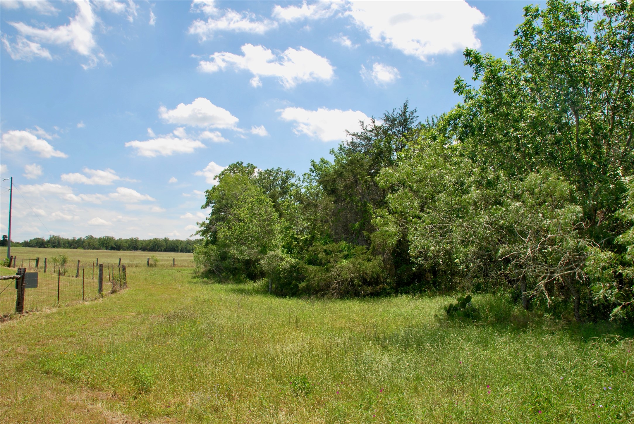 4850 Burke Road Flatonia, TX 78941 - Photo 43 of 46