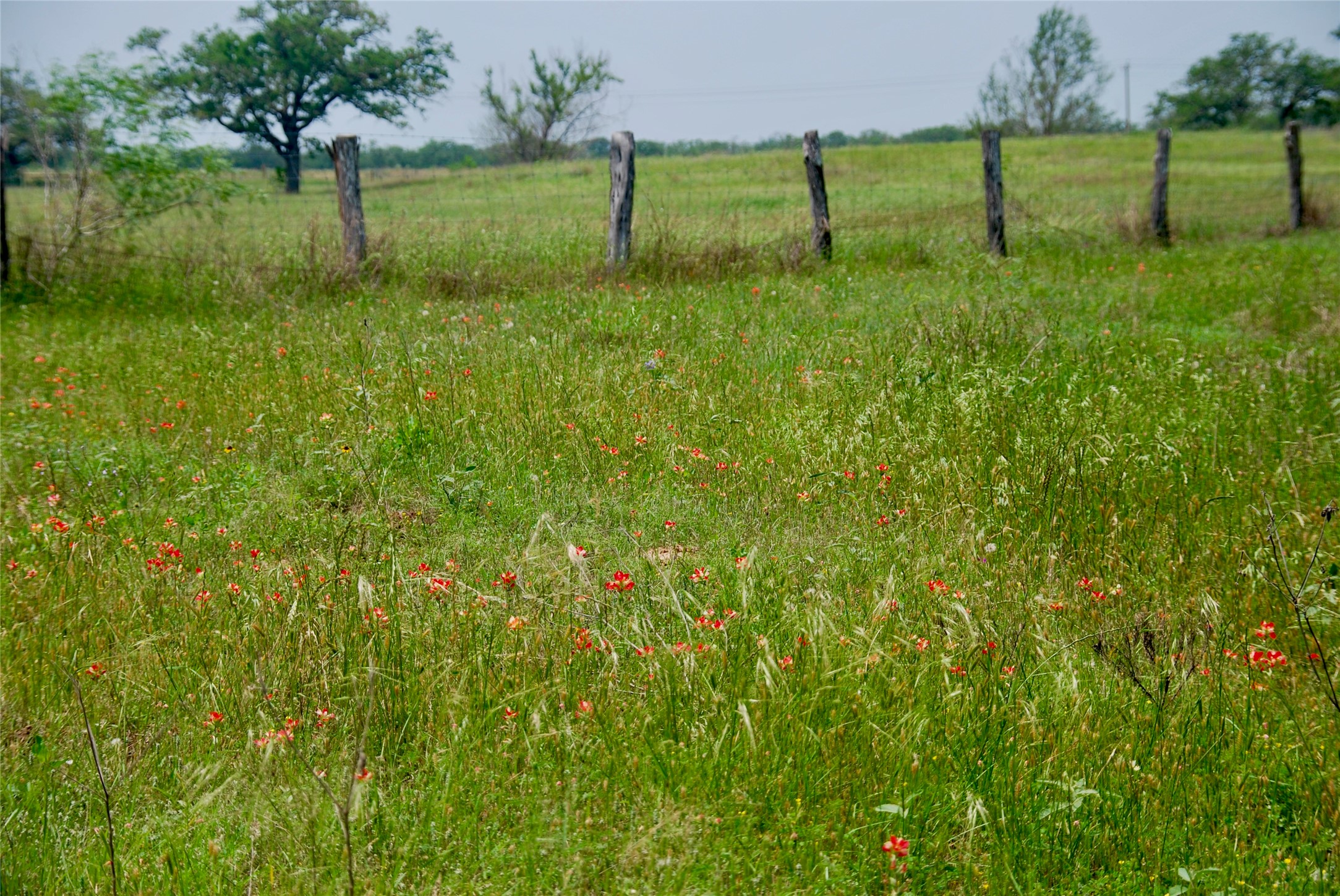 4850 Burke Road Flatonia, TX 78941 - Photo 44 of 46