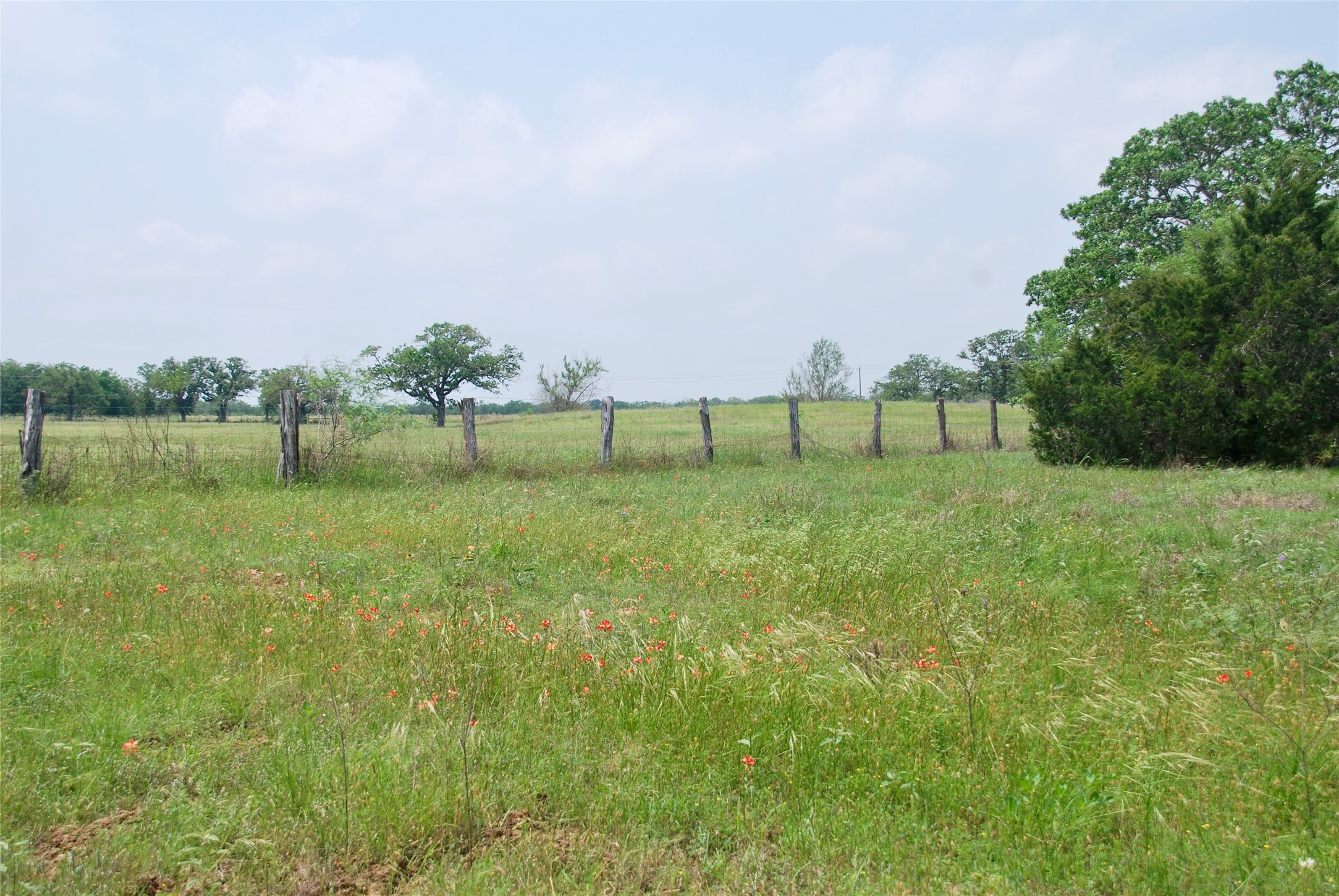 4850 Burke Road Flatonia, TX 78941 - Photo 8 of 46