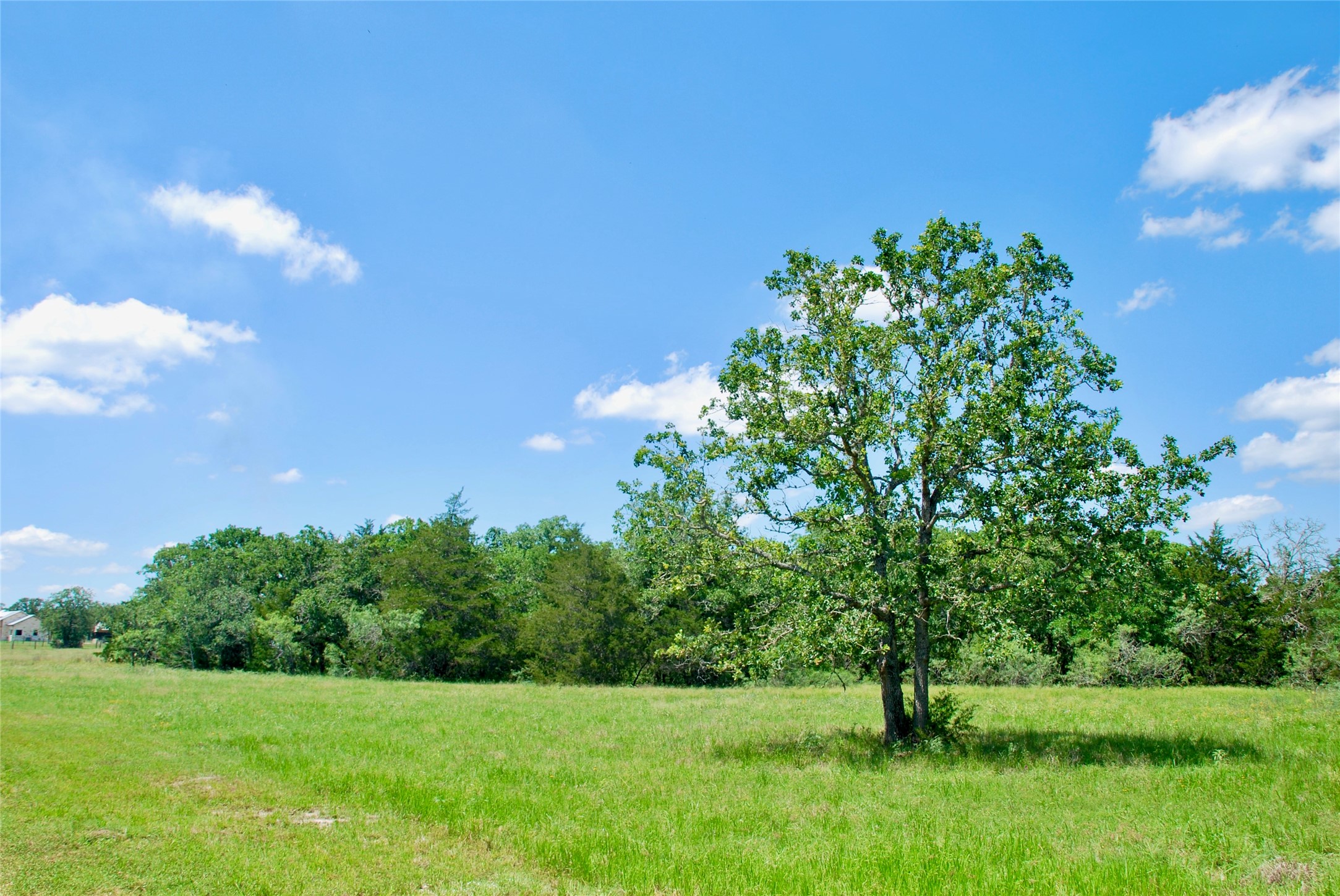 4850 Burke Road Flatonia, TX 78941 - Photo 9 of 46