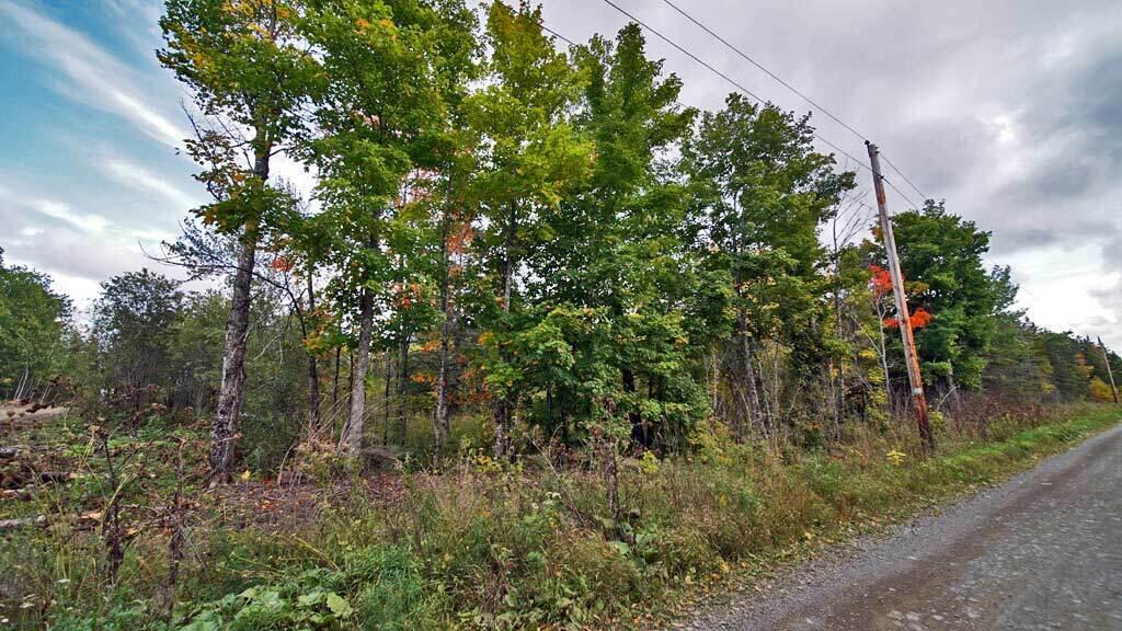 Lot 4 Green Road Houlton, ME 04730 - Photo 28 of 58 green-rd-hodgdon-maine-17