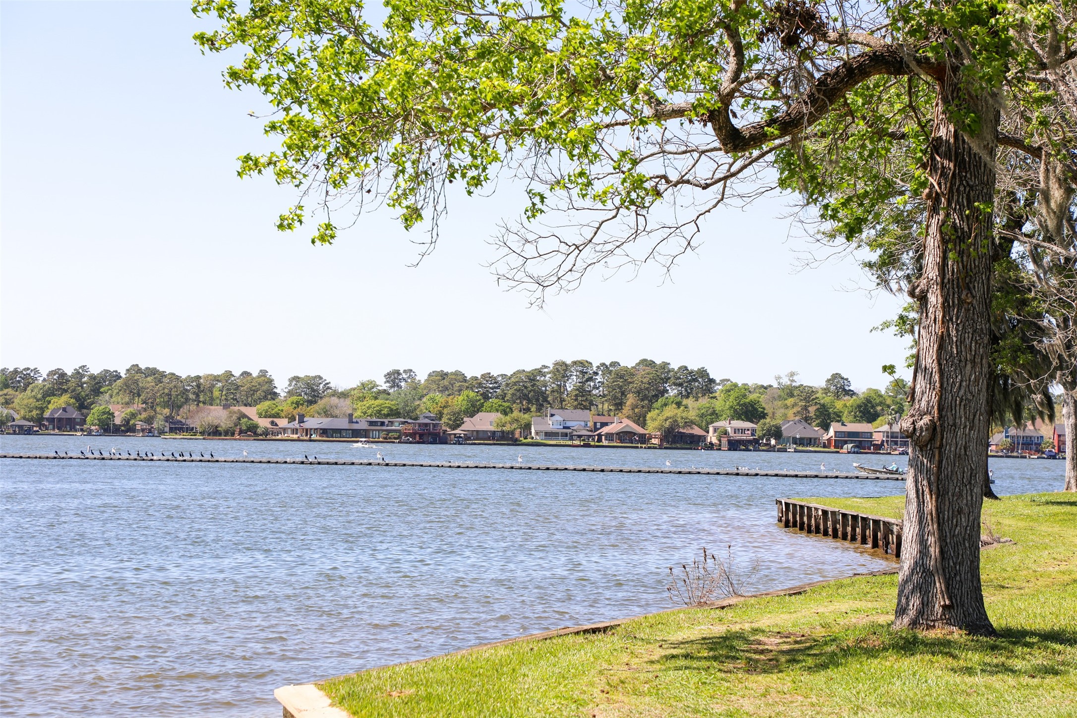 12111 North Ridgeway Willis, TX 77318 - Photo 45 of 50