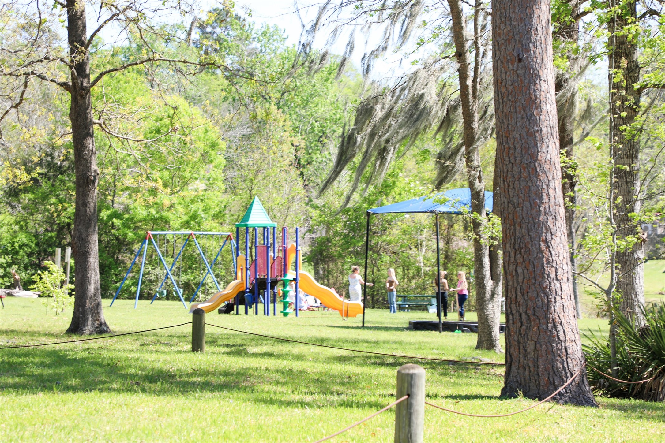 12111 North Ridgeway Willis, TX 77318 - Photo 48 of 50