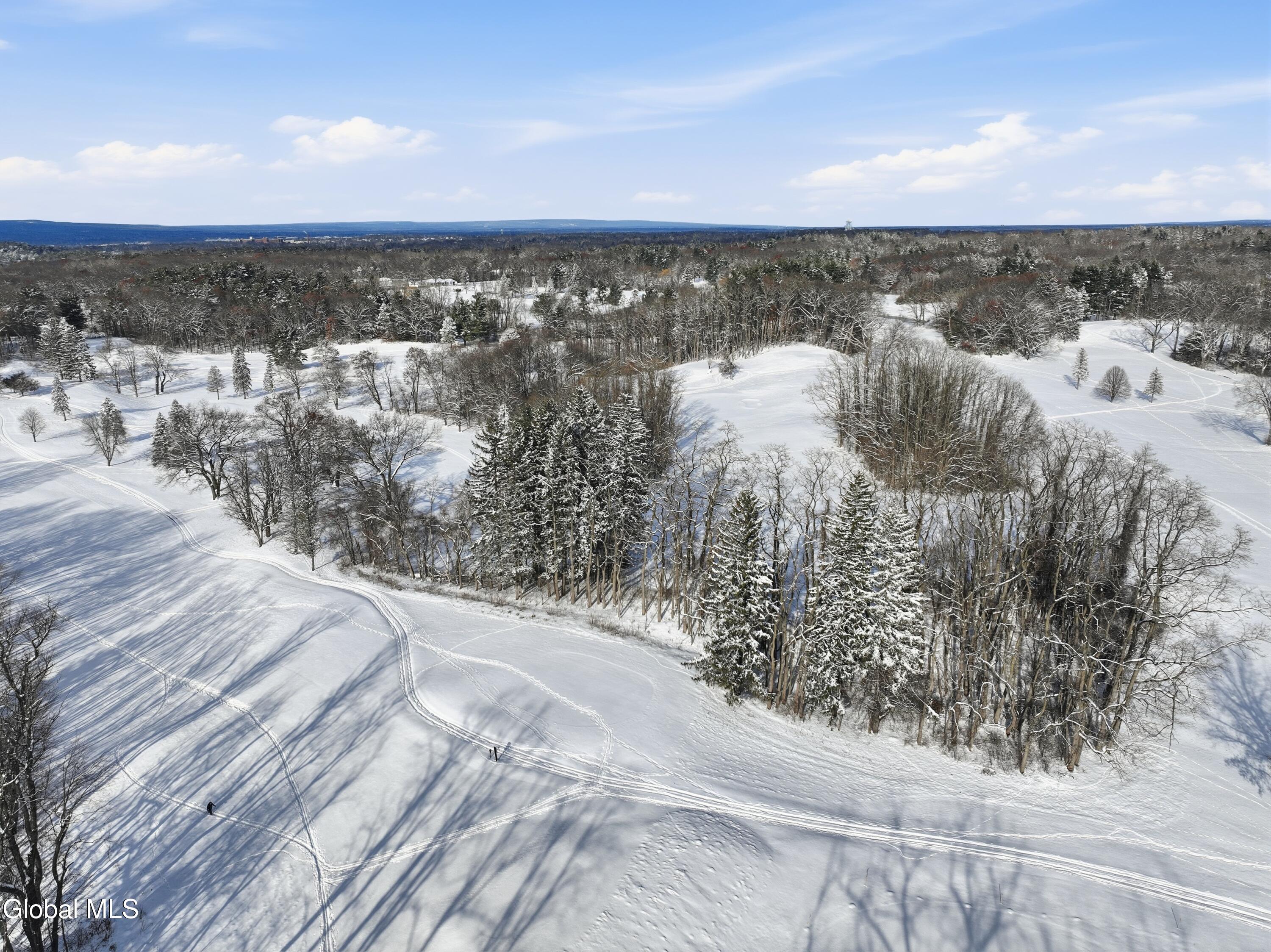 2829 Consaul Road Schenectady, NY 12304 - Photo 20 of 24 DJI_0236