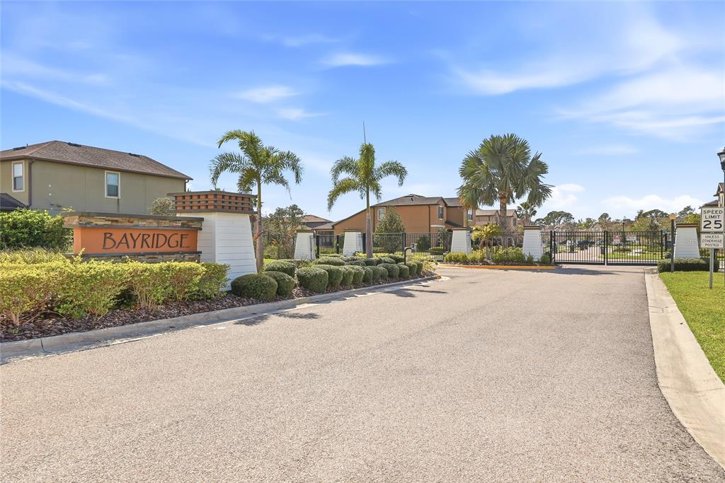 1724 Passage Key Lane Ruskin, FL 33570 - Photo 40 of 46 a front view of a house with a yard and car parked