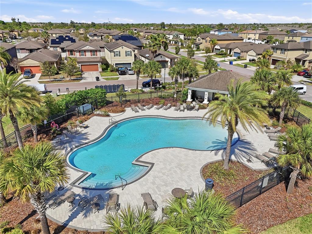 1724 Passage Key Lane Ruskin, FL 33570 - Photo 43 of 46 a view of a swimming pool with a patio