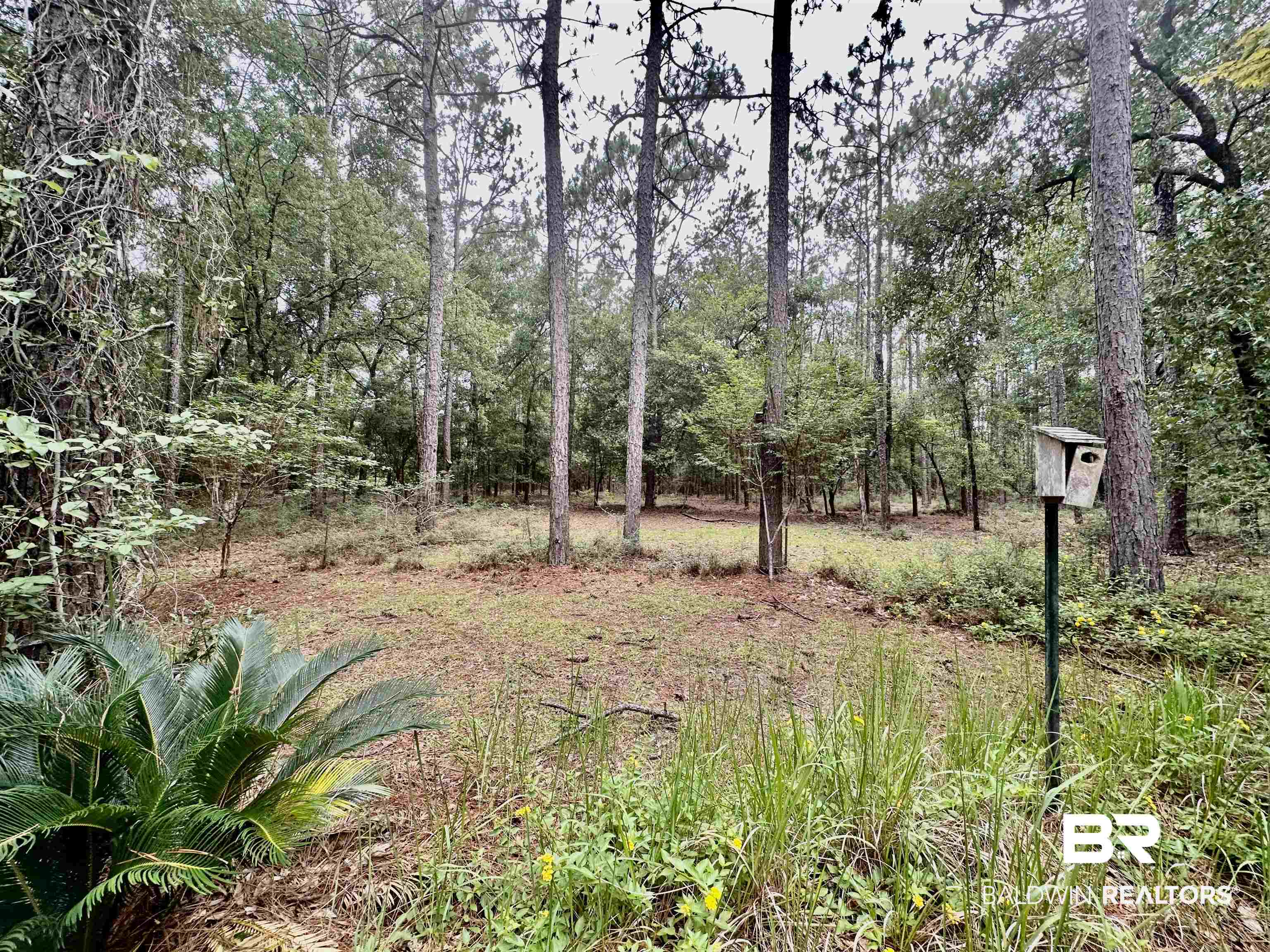 32349 Sibley Creek Road Daphne, AL 36527 - Photo 19 of 22