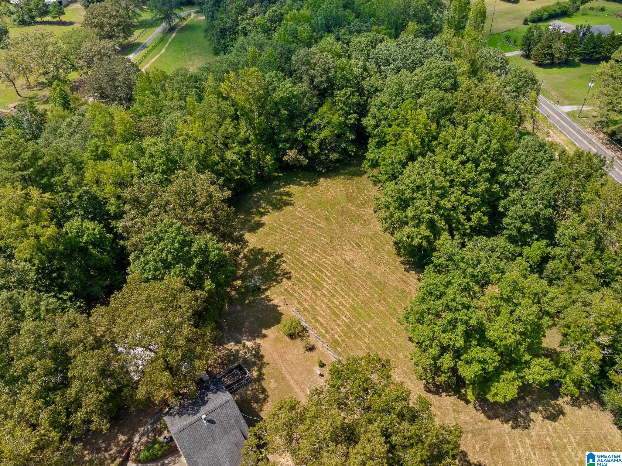 1695 Sanie Road Odenville, AL 35120 - Photo 49 of 63