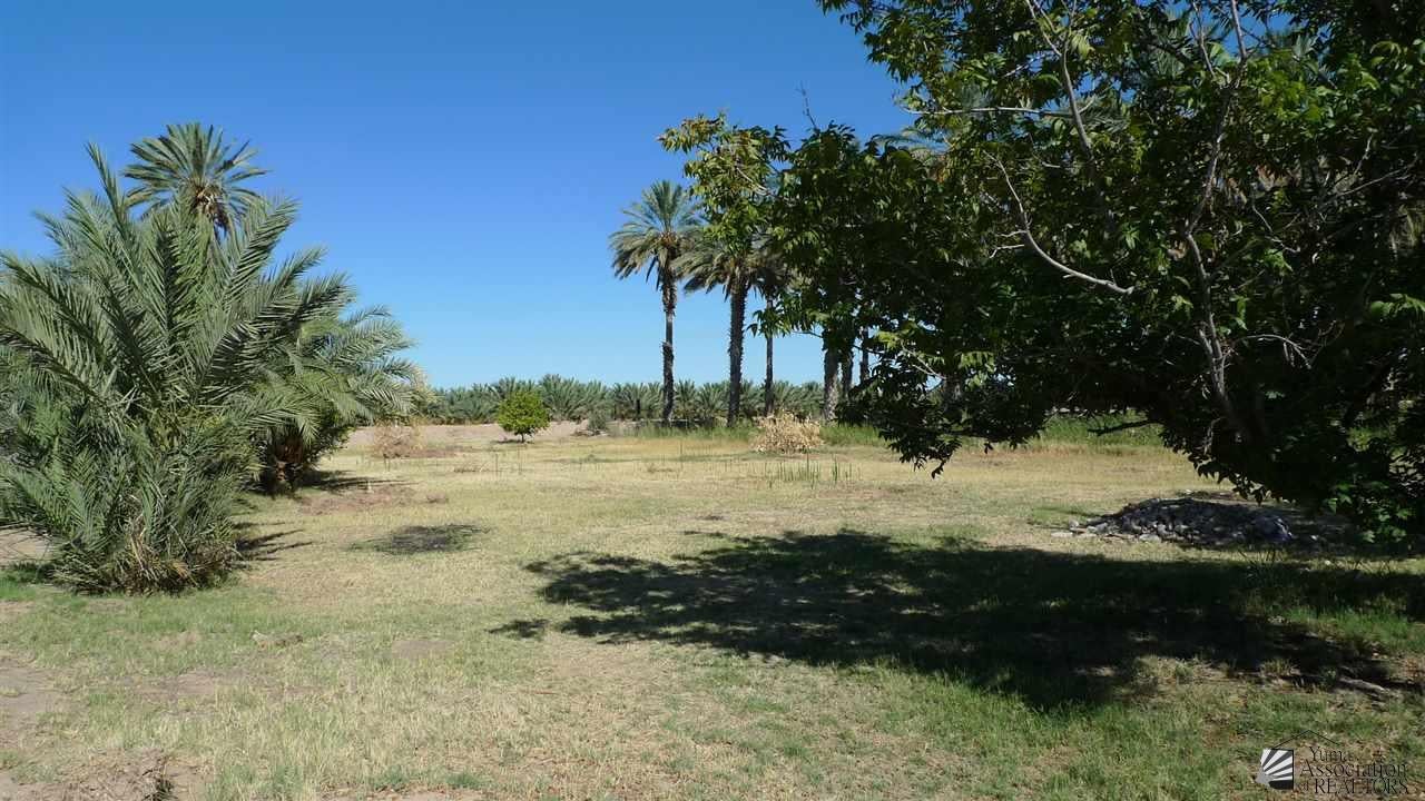 1215 West Collins Road Winterhaven, CA 92283 - Photo 19 of 19 Gallery Image 19