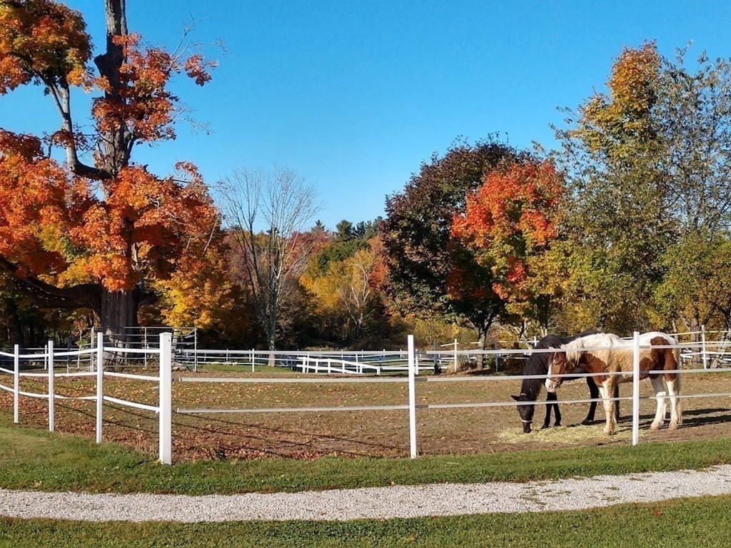 47 Singletary Avenue Sutton, MA 01590 - Photo 36 of 42