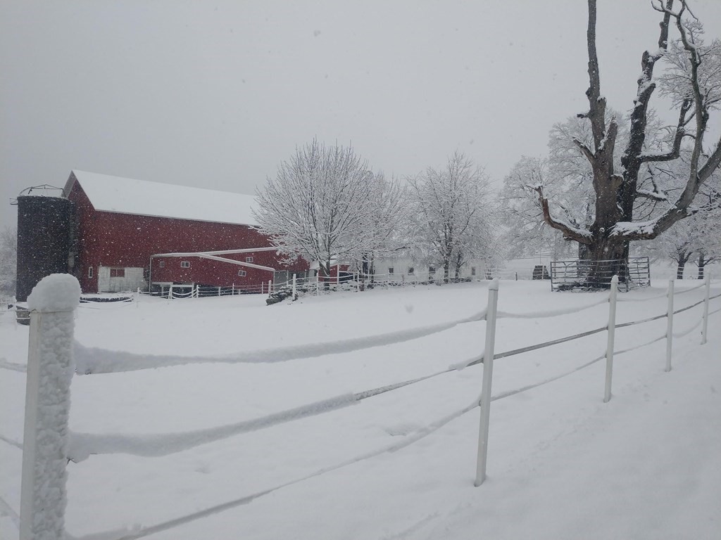 47 Singletary Avenue Sutton, MA 01590 - Photo 39 of 42