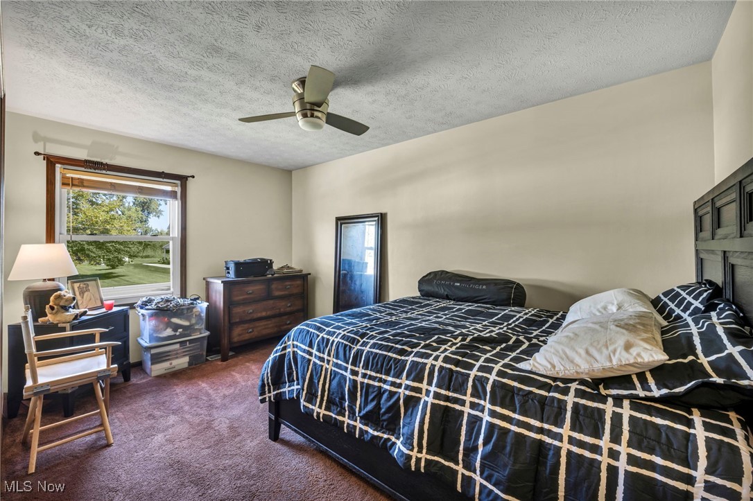5704 McCartney Road Sandusky, OH 44870 - Photo 34 of 50 Carpeted bedroom featuring a textured ceiling and a ceiling fan