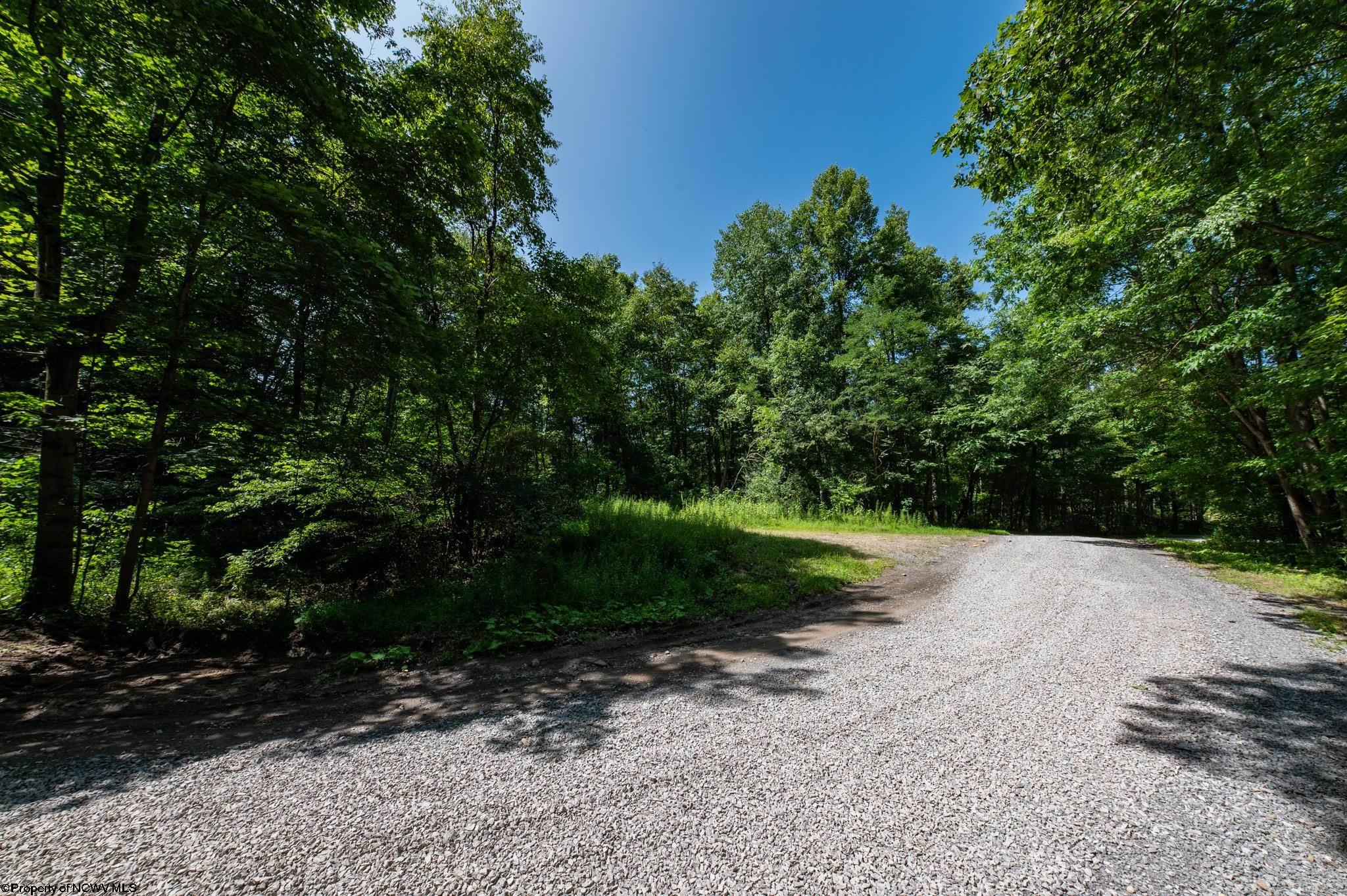 Tbd Beech Run Road Albright, WV 26519 - Photo 3 of 32 Gallery Image 3