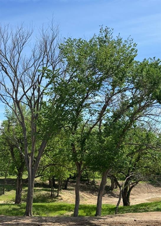 1300 Johnson Bend Road, Unit 1 Weatherford, TX 76088 - Photo 21 of 21