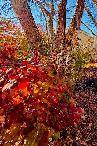 $378,500 | 405 Wesley Avenue, Savoy, IL 61874