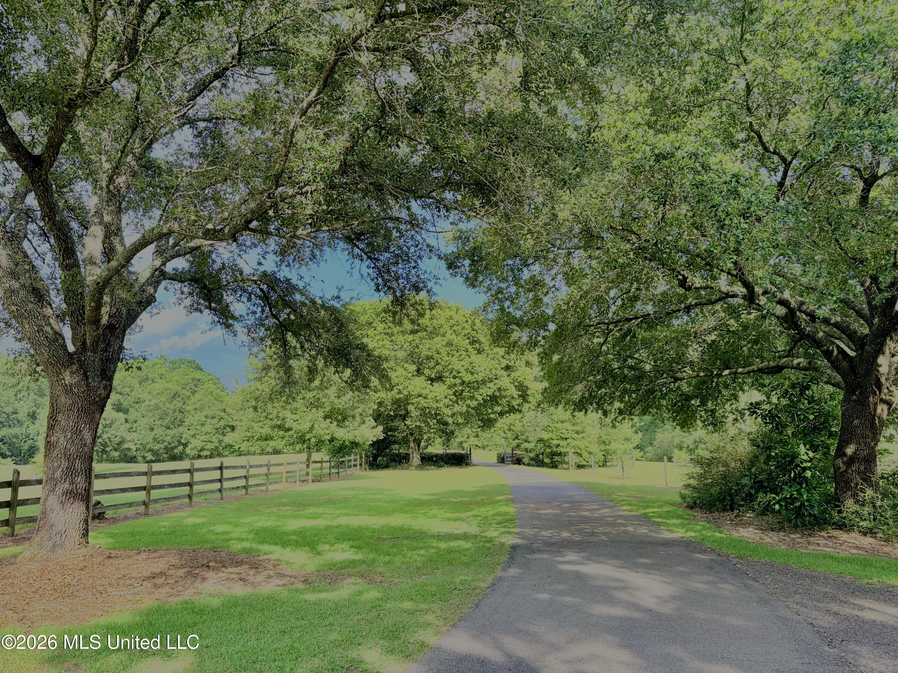 299 Quitman Perry Road Carriere, MS 39426 - Photo 73 of 73 73, Driveway, IMG_9364 JPEG