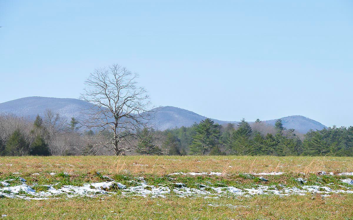 307 Indian Village Road Blue Ridge, GA 30513 - Photo 2 of 4 Additional View