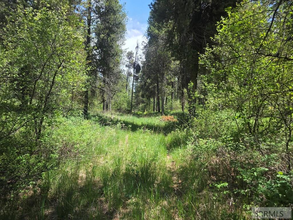 4585 East 1400 Road North Ashton, ID 83420 - Photo 13 of 31