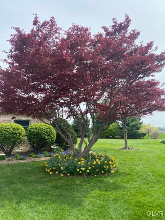 6273 Hower Road Pen Argyl, PA 18072 - Photo 35 of 37 a big yard with lots of green space and plants